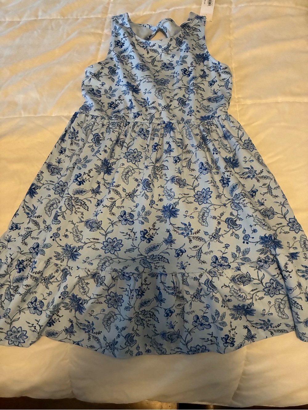 Janie and Jack Blue Floral Sleeveless Dress